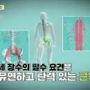 [백년 습관, 통증잡는 스트레칭] 통증이 오는 대표 부위부터 근육 늘리는 스트레칭 방법까지 세분의 전문가와 함께 알아보겠습니다. 이미지