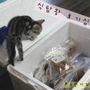 오봉이네