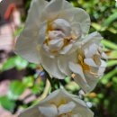 바람이불어오는곳(박창근) 이미지