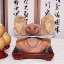 동호의원 이미지