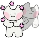 운동에빠GYM 네이버블로그