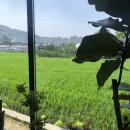구성커피로스터스