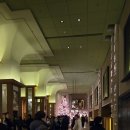 시즌호텔 | 남산 하얏트호텔 2박 크리스마스시즌 숙박후기(로코스비비큐 솔직후기포함)