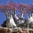 고향산천슈퍼 이미지