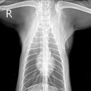 24시 글로리 동물병원 이미지