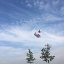 짱금이 | 영암 신비의 과일 “무화과축제” 자동차경주장에서 27일 개막, 방문기