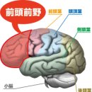 푸른야채 - 광양시 신금로 10 | 푸른야채