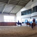 대덕승마장 이미지