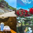 광전농장 | 구례 ~ 곡성 여행 코스, 1박 2일 여행(가볼만한 곳, 숙소, 맛집)