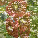 석정농장 이미지