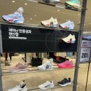 롯데화이트세탁 | [나이키 러닝화] 나이키 페가수스 프리미엄 화이트 내돈내산 솔직후기 (HQ2593-102)