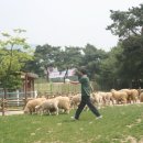 H9351 Daum카페