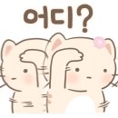 퍼펙트호텔 이미지