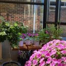 카페수다 이미지