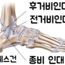 리코플러스 이미지