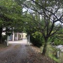 솔하우스&갤러리 이미지