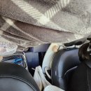 초보자취러 집꾸미기2