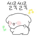 베이보릿
