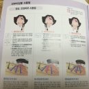 엔블리