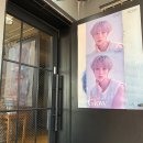 헤어캠프 - 104781 | 헤어캠프