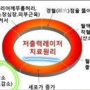 미골드 네이버블로그