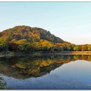 두류공원 이미지