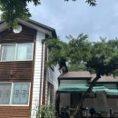 강가에 펜션 | 충북 괴산 계곡 펜션 추천 강가에펜션 후기 여름 성수기 가격 내돈내산