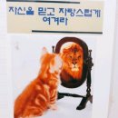 카페반디나무 네이버블로그