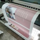 늘, 고운펫 이미지