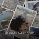 재선농장 이미지