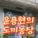 윤용현의도끼농장 네이버블로그