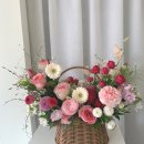 더피우리 이미지