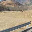 화개면 이미지