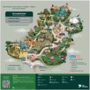 뉴테마노래연습장 | 싱가포르 | 동물원 연간 회원 후기 3 _ Bird Paradise 버드 파라다이스 (테마, 공연, 먹이체험, 식당...