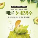 카페과일나라