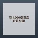 마케팅고수