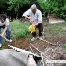 대교할머니경로당 이미지