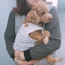 예뜰리에 이미지