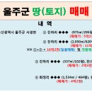 대연성심공인중개사사무소 이미지