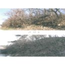 가곡면사무소 이미지