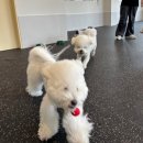 둘리유치원 이미지