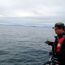 아폴로 스테이 | 갑오징어낚시대 아오맥스 패턴블랙 사용후기