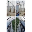 최상배농장 이미지