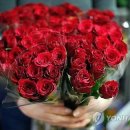 로즈데이 이미지