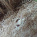 하늘동물병원 이미지