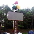 고령군 관광안내소 이미지