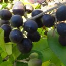 유일에 대한 묵상 이미지