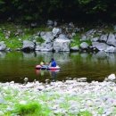 삼화시장 이미지