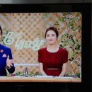 6시내고향