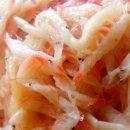 생생새우 이미지